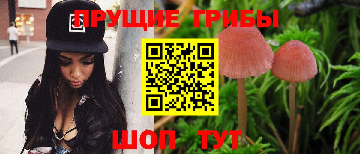 Галлюциногенные грибы Magic Shrooms Усть-Илимск