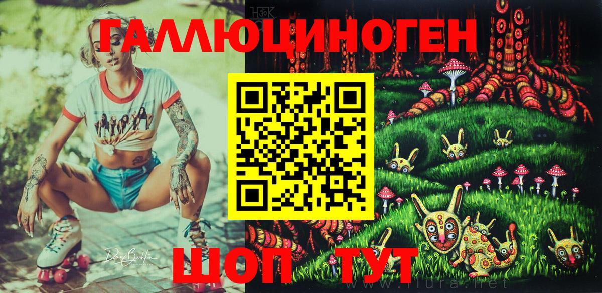 Усть-Илимск  купить   Вход с VPN  Псилоцибиновые грибы Psilocybine cubensis 
